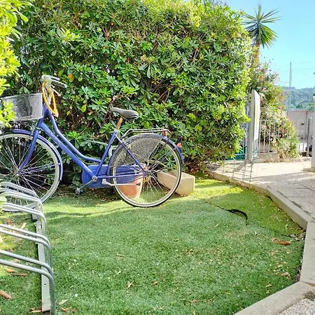 Le Palme Grottammare