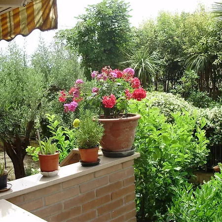 Bed and Breakfast Le Palme